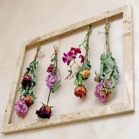 Apartment L&s Jacuzzi *